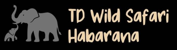 Black Gold White Circle Elegant Football Club Logo